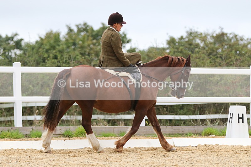 0I1A7099 - Class 9: Prelim Freestyle to Music