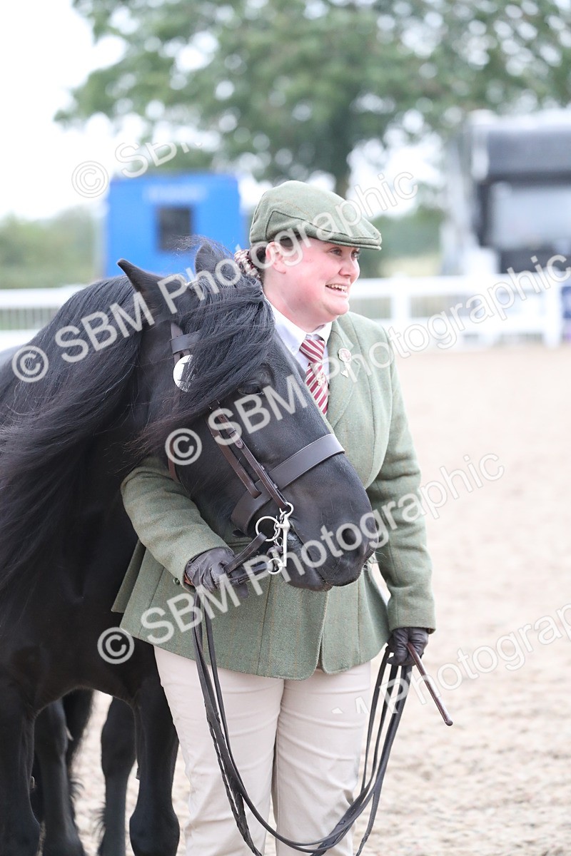 SBM_17997 - Class 317 IH Pure bred Horse/Pony