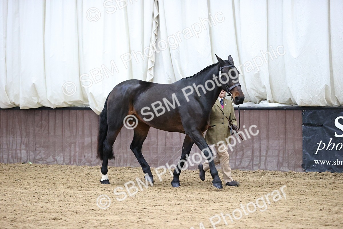 SBM_5621 - Class 40 - RESS In Hand Qualifier