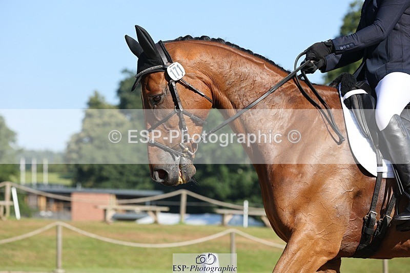 240719-090219-00007 - 171-Sophie_Hawke-Enormouse