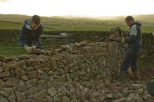 2 - Rab - Drystone Dyker