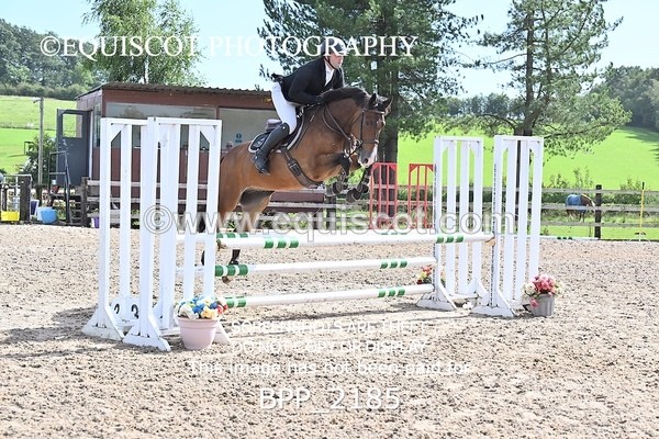 BPP_2185 - CLASS 2  FRI British Novice/ 90cm Open