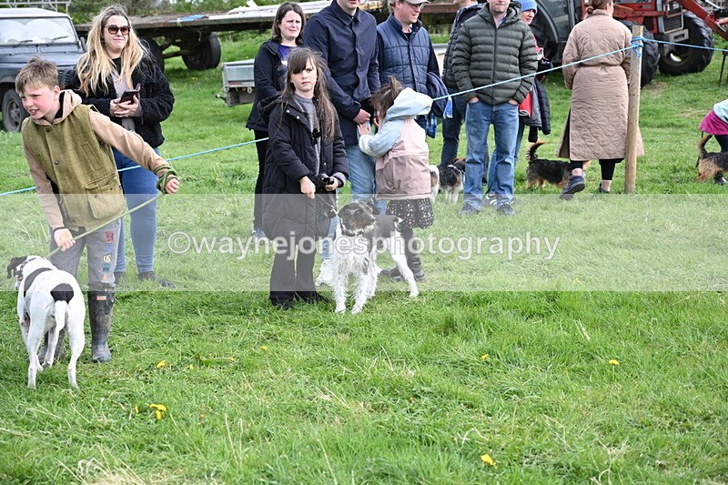 WJ6_8572 - Class 6 Best Rescue