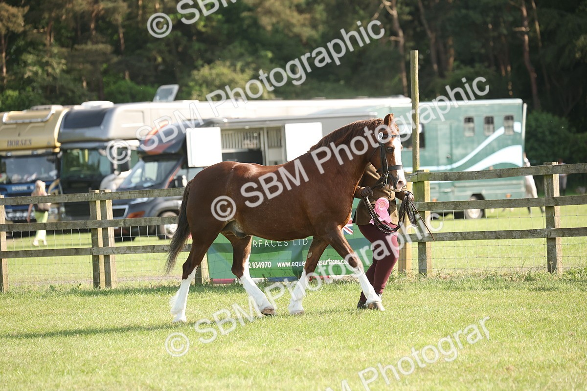 SBM_10408 - Class 33-38 - SSADL RIHS Qualifiers