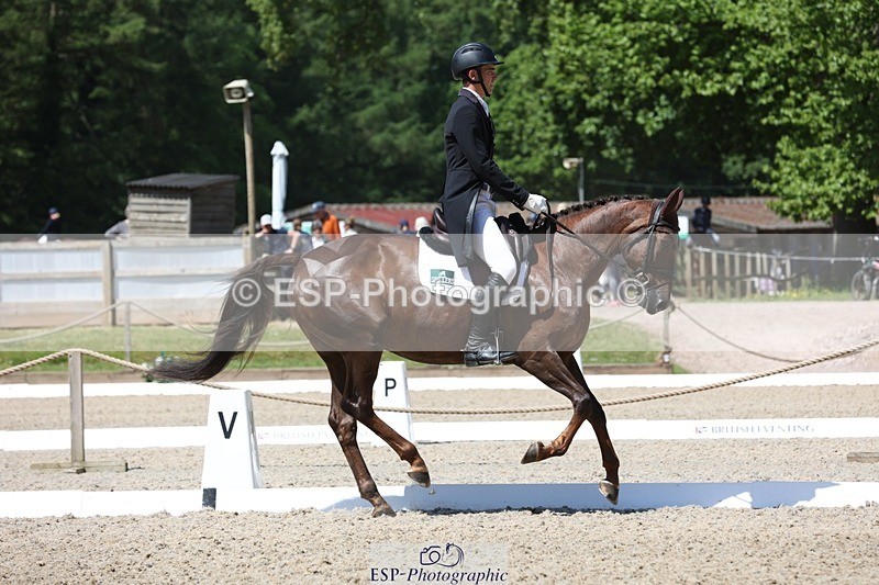 230526-113116-06076 - 153-GAMEBIRD-Max_Warburton-WEDTrotUp+DR