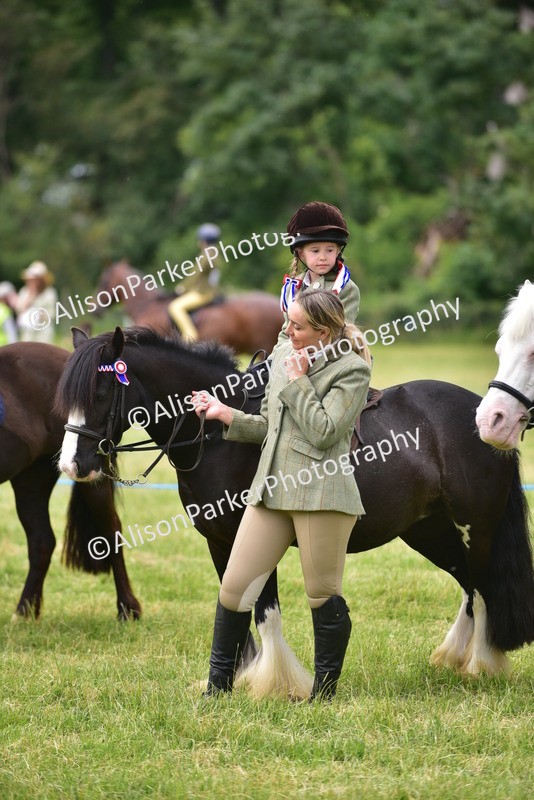 20260614-3689 - Class 15 - Prettiest Mare