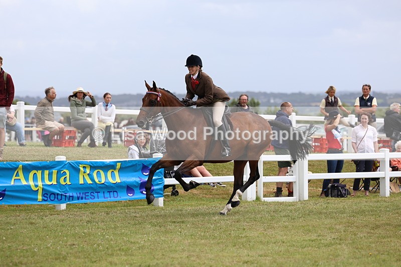 3E7A0984 - Class 8: Open Riding Horse/Hack