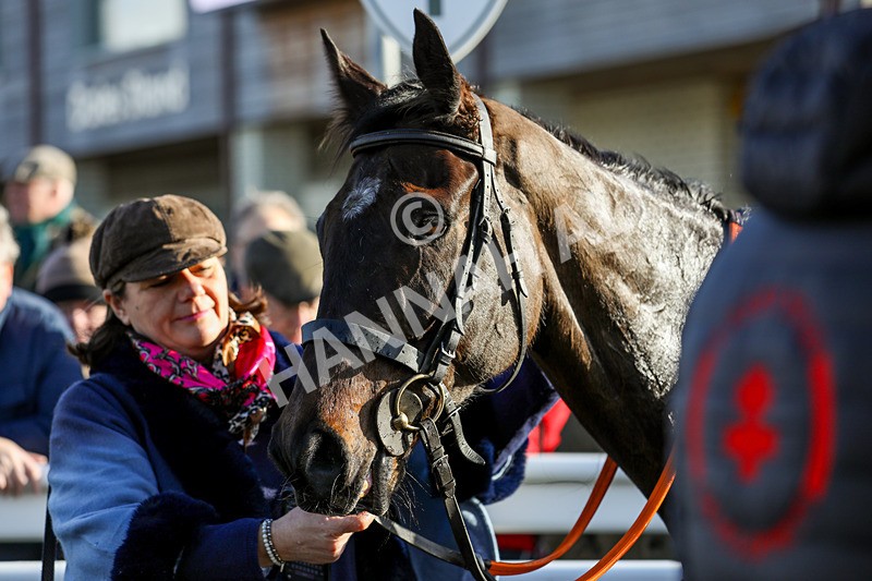 270224-Race 2-Prairie Wolf-8386 - Race 2