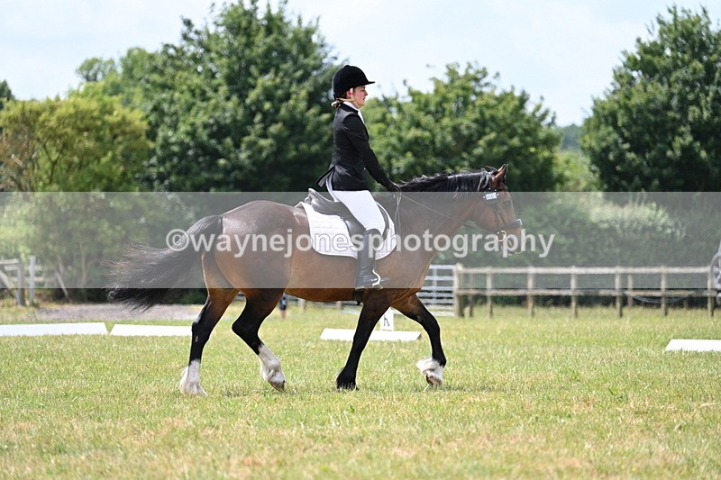 WJ7_5573 - Time 11:52 to 12:10