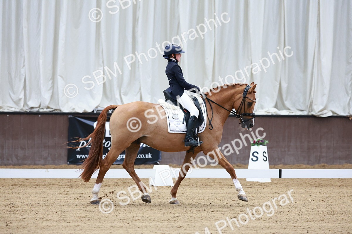 SBM_017064 - Class15 - FEI Pony