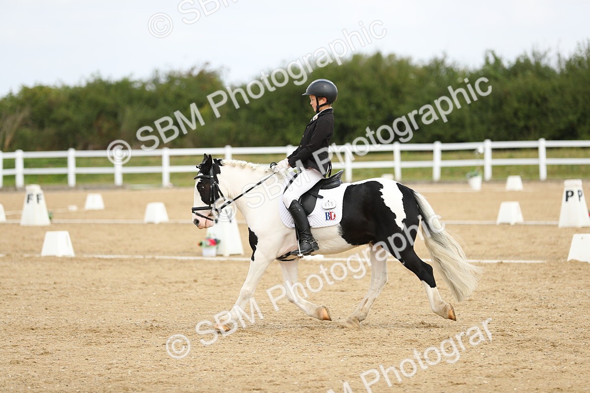 SBM_016339 - Class 13 - Novice 23 - 11.25-12.35