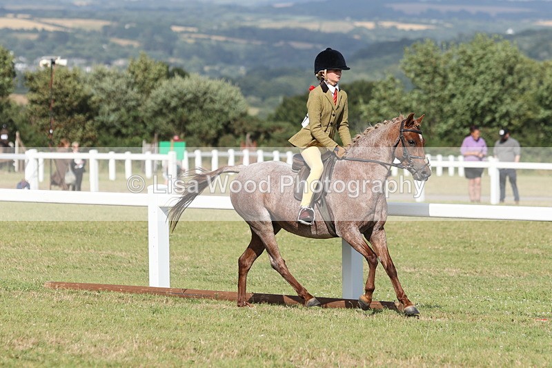 JPP_2891 - Class 20: Working Hunter 70cm