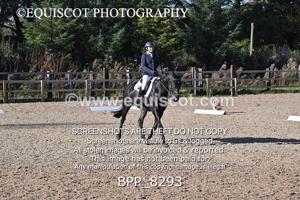 BPP_8293 - LONG ARENA