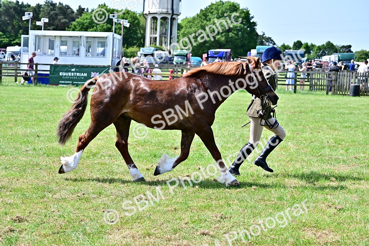SBM_03879 - Class 58 - TSR  Ridden Veteran Amateur of the year