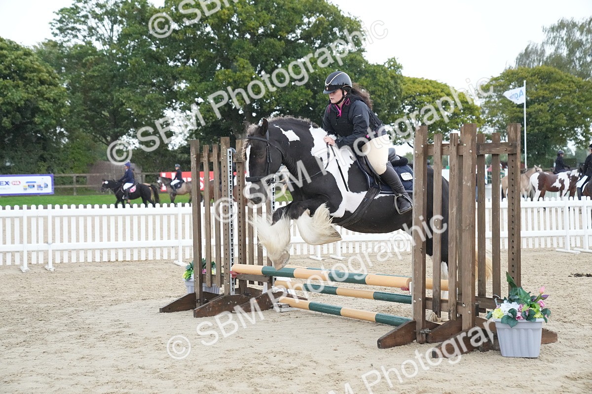 SBM_01584 - J54 - Clear Round 50cm