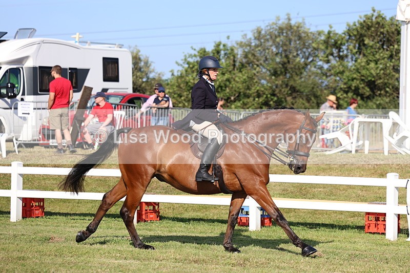 3E7A5325 - Class 2: Rising Star Large Hack/Riding Horse