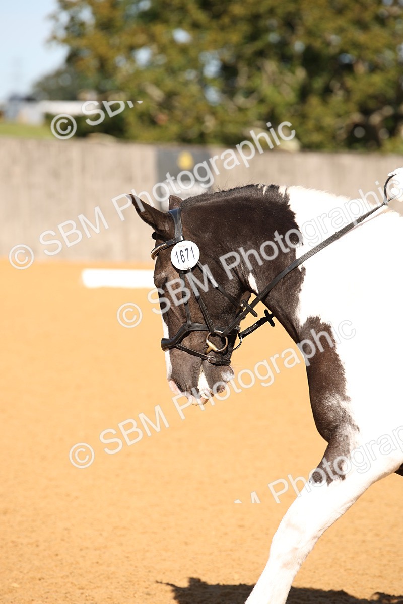 SBM_18457