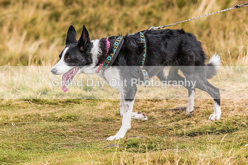 Lowther-654 - Lowther Lakeland Fell & Trail Race Sunday 9th August 2026