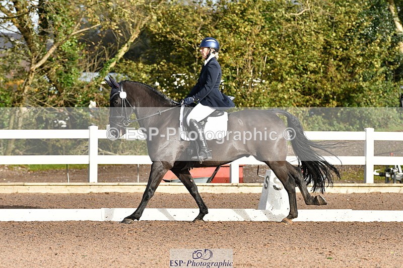 231104A-102758-00083 - Cls 4 Novice 22