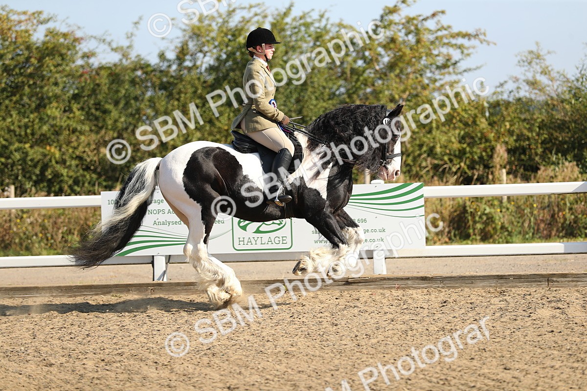 SBM_01261 - Class 42 Ridden Veteran