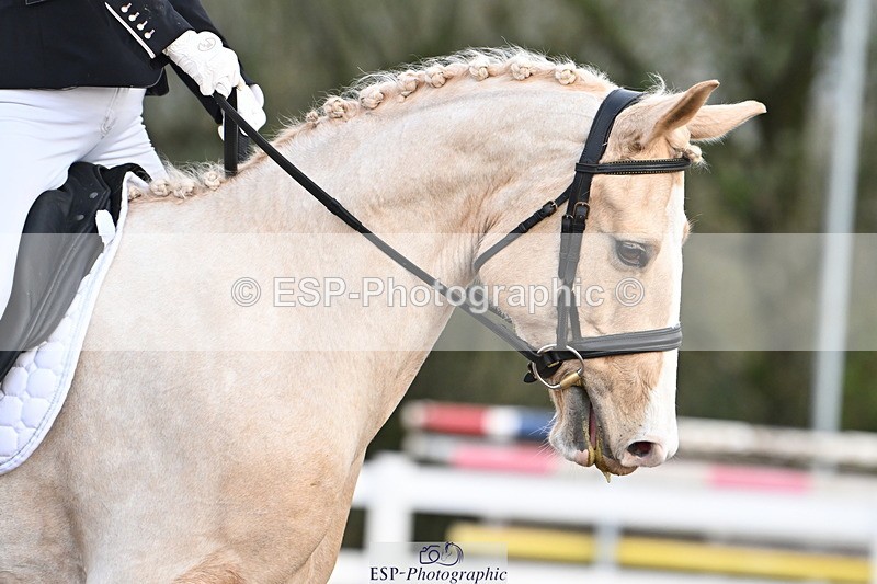 240218A-094323-04826 - 176-Kim.Walker-Dom.Perignon