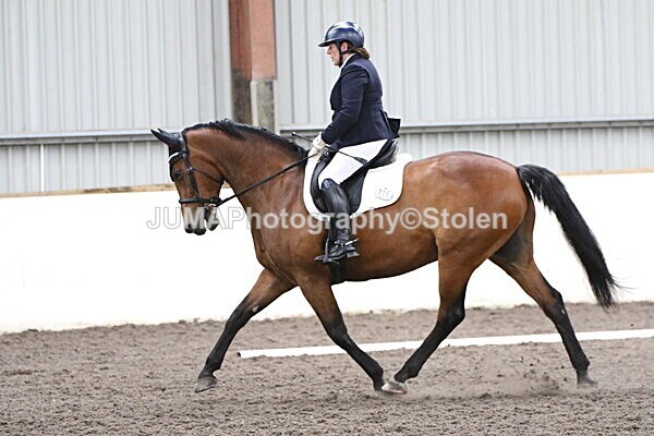 SIAL5275 - CAbin Dressage 5th july 2025