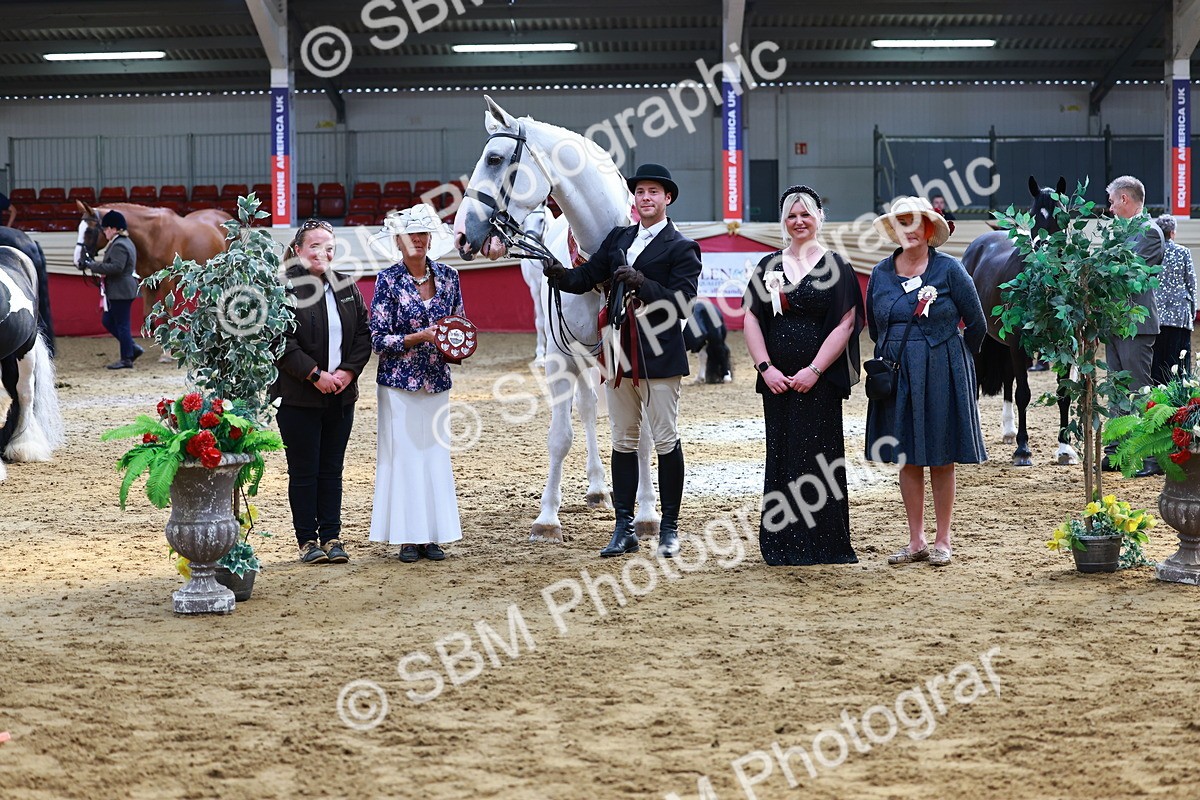 SBM_23285 - Class 903 - Supreme Final - IH Pre Vet