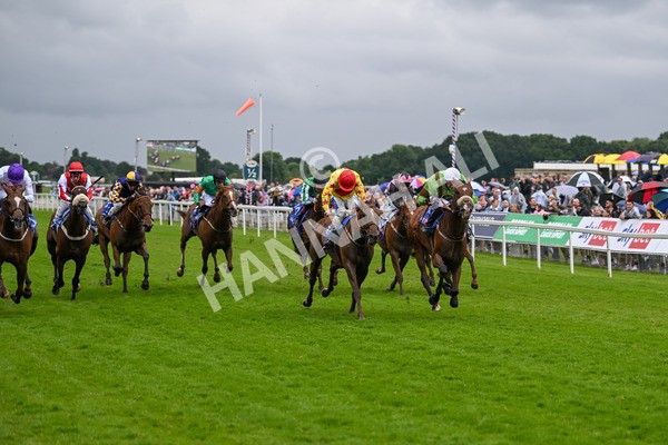 150624-Race 2-Tolstoy-6859 - Race 2 2.25pm Sky Bet Proud To Support Macmillan Handicap