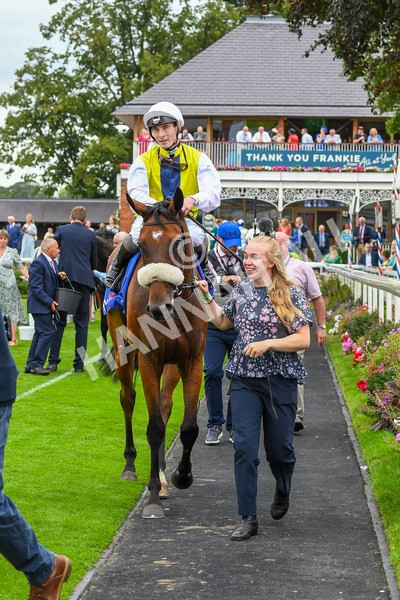 230823-Race 5-Forza Orta-0728 - Race 5 4.10pm Sky Bet Stayers Handicap