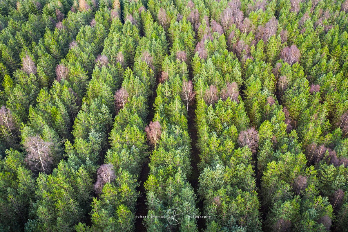 Britty rows - FROM ABOVE