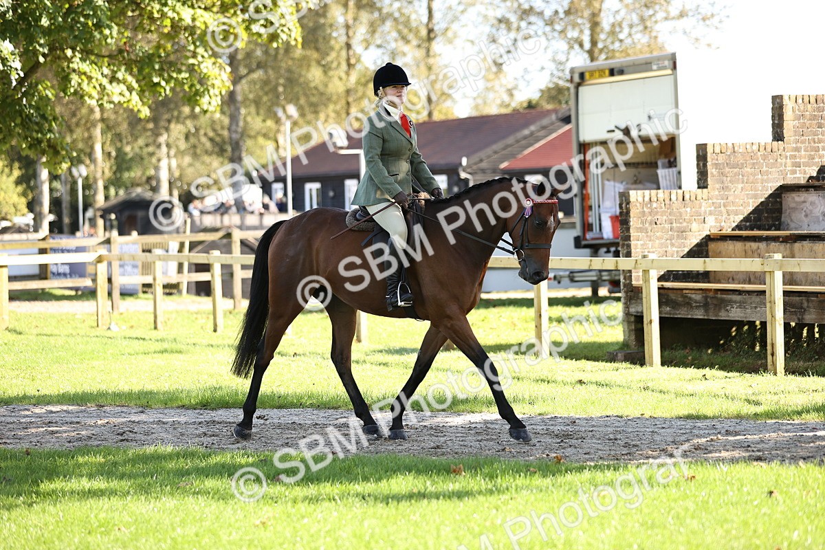 SBM_16900 - S2 - TSR Ridden Pony Showing