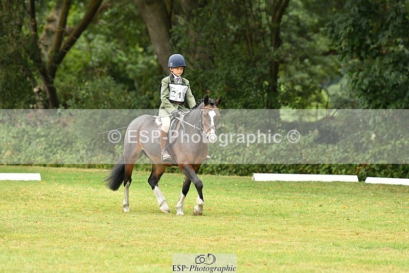 250820A-111212-04923 - 11am to 12