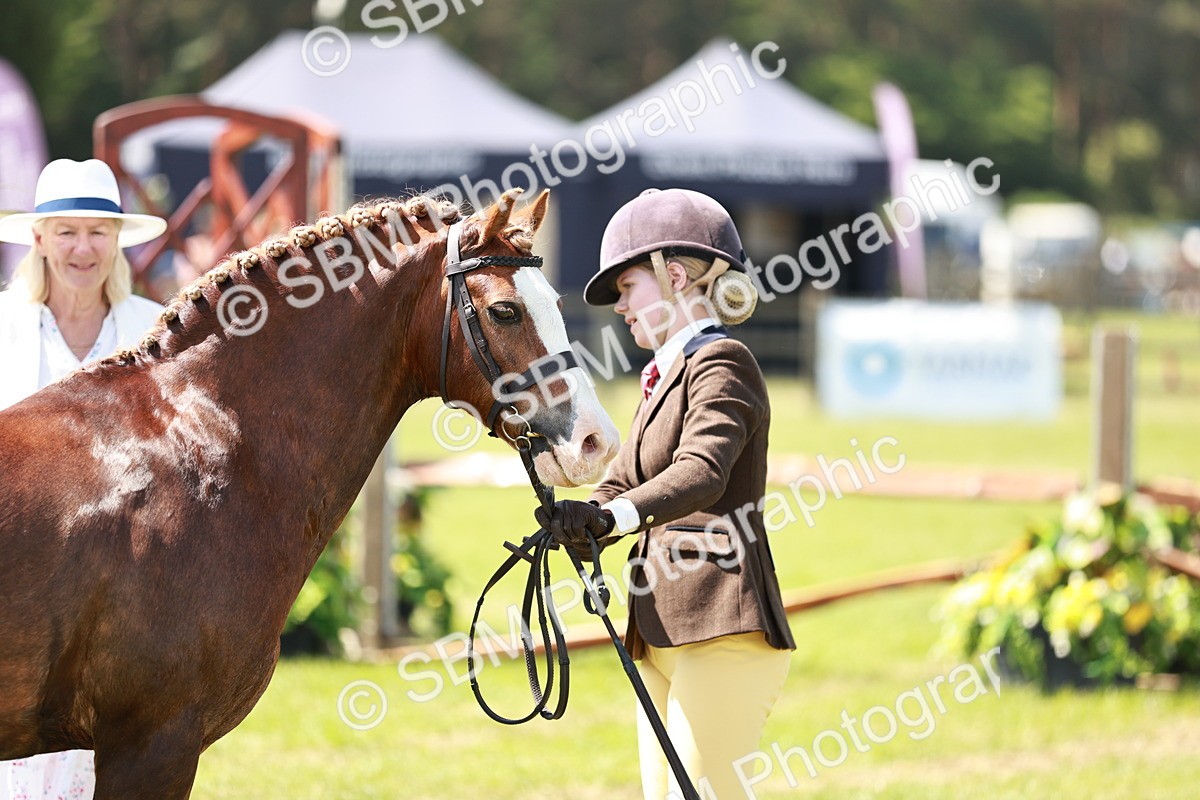 SBM_15541 - Class 108-109 - BSPS LIHS Open Gradle & Nursery Stakes