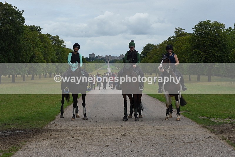 TT3_9915 - Time at Crossing 11:28 to 13:16