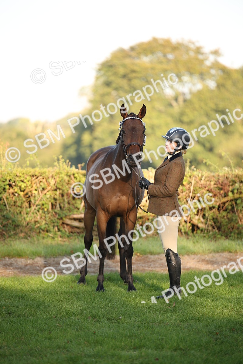 SBM_56922 - S49 - Riding Horse & Hack & Thoroughbred In Hand