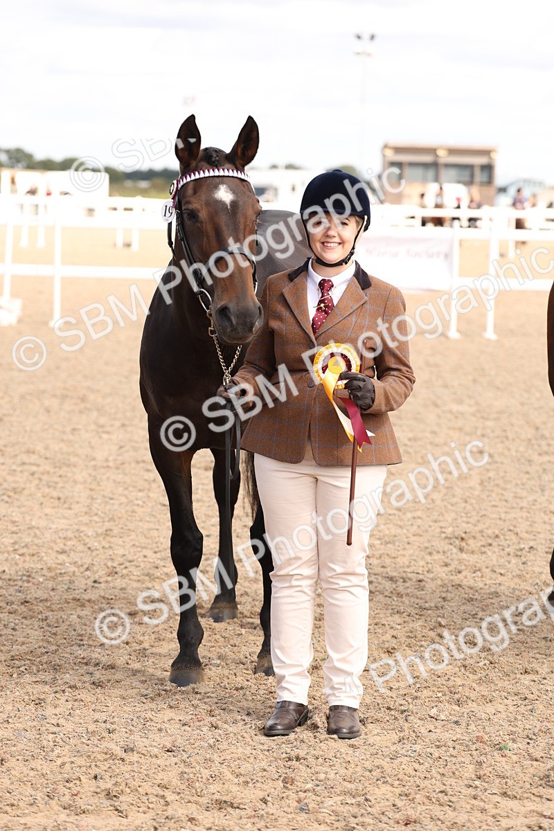 SBM_14729 - Class 208 - IH Veteran Horse