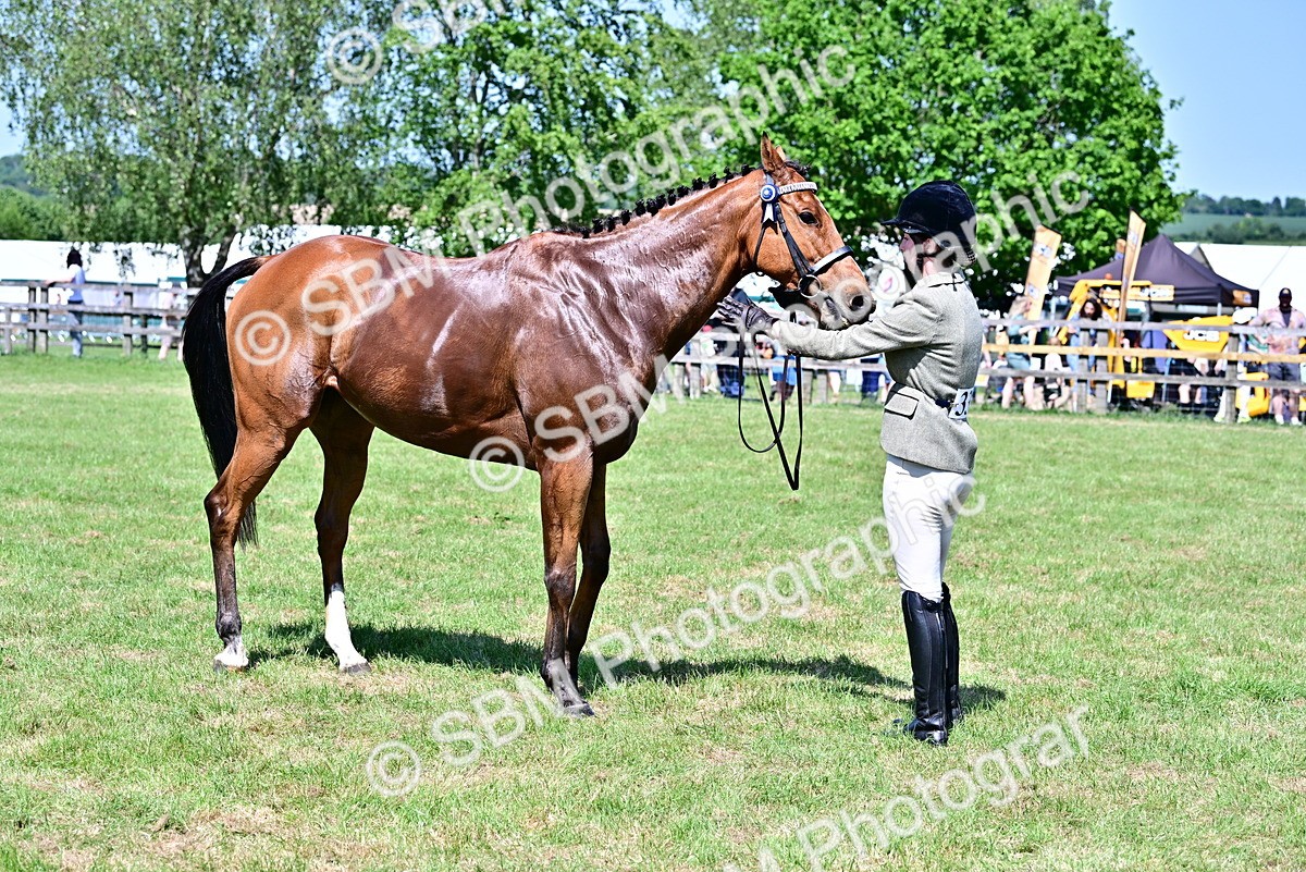 SBM_18184 - Class 99-100 - Retraining of Racehorses Ridden