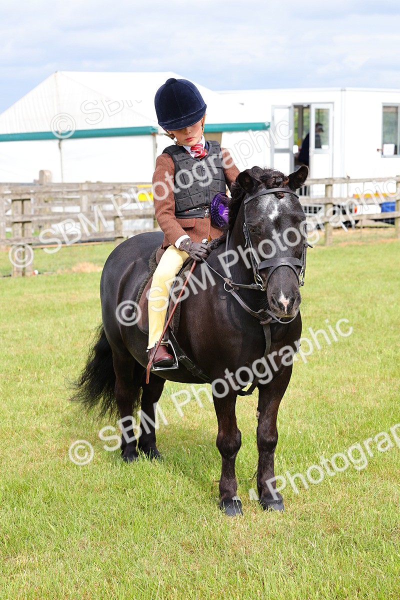 SBM_09680 - Class 44-45 - LIHS BSPS Open Nursery and Cradle Stakes