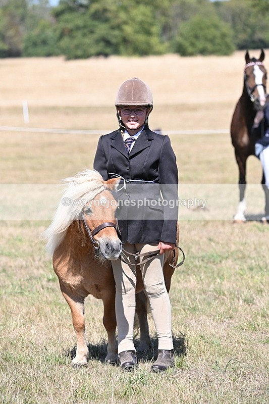 WJ6_8696 - Class 37b Best Loan Pony In-hand