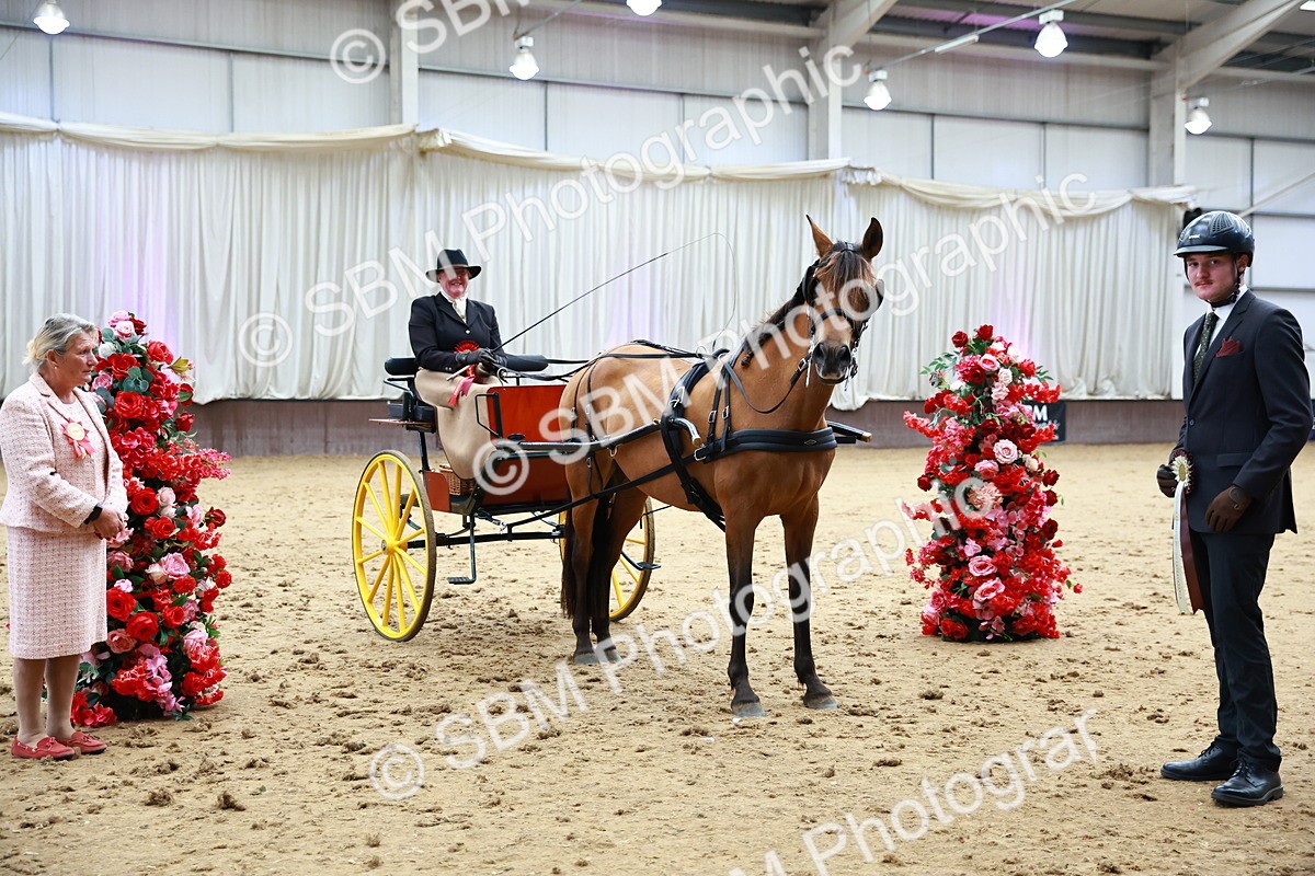 SBM_001079 - Class 15 - Open Showmans Class