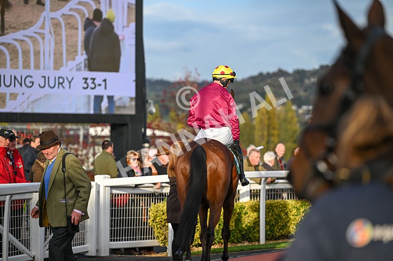 241025-Race 7-Ideal Des Bordes-5826 - Race 7