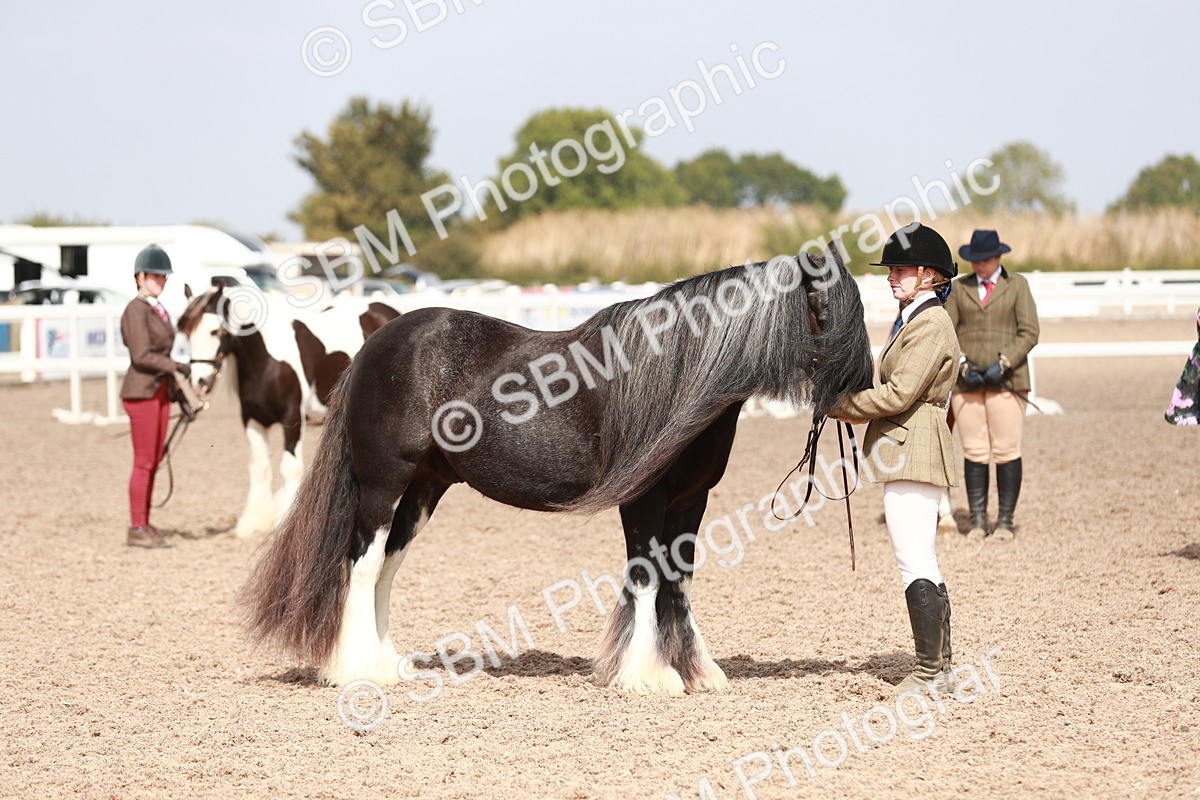 SBM_13923 - Class 209 IH Veteran Pony