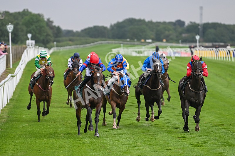 230725-Race 6-Quercus-0596 - Race 6