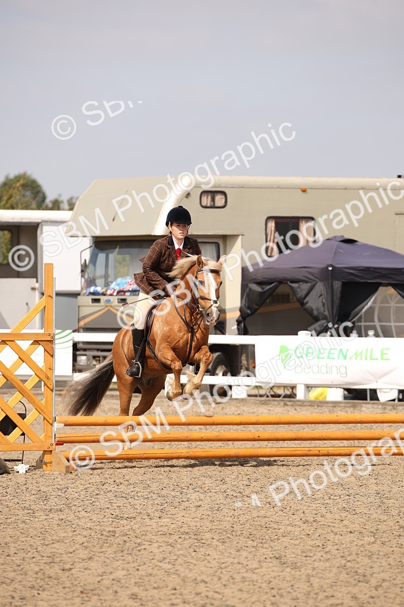 SBM_14303 - Class 407b - Working Veteran 60cm (20+)