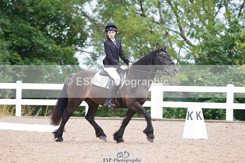 240809A-095108-00338 - Dressage Competition