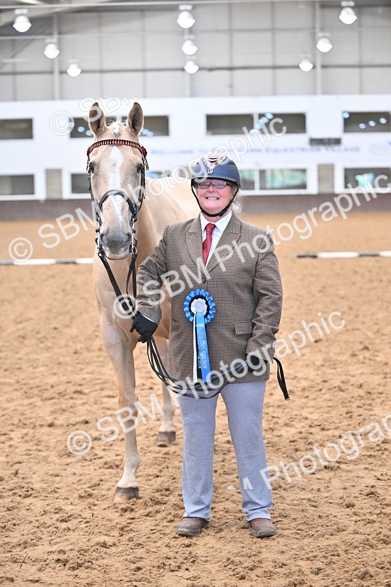 EB7_8435 - Class 3 - In Hand Foreign Breeds & Warmbloods