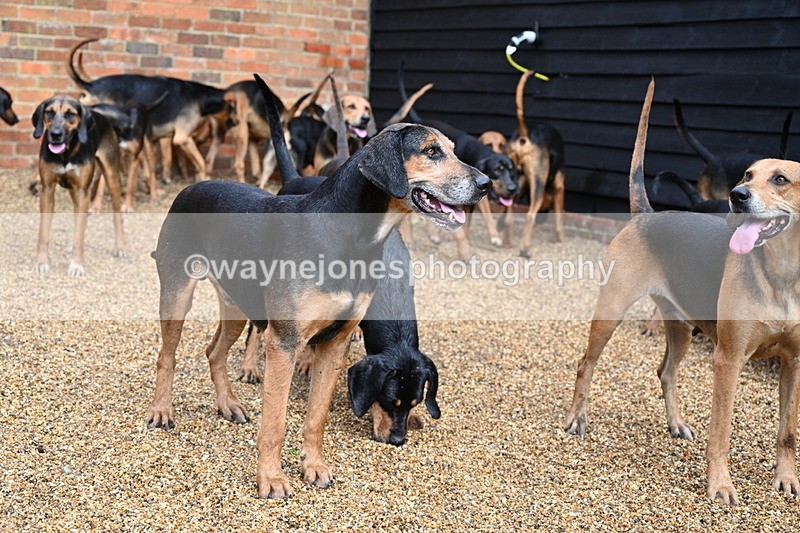 WJ7_6987 - Berks & Bucks at Blandy’s Farm 31-08-25