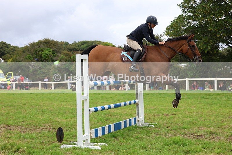 3E7A8617 - Class 8: Senior Foxhunter/1.20m open