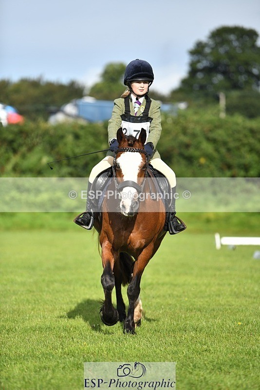 230826-090216-15005 - Sections C & D 9 to 10am