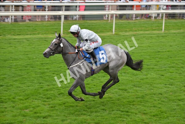 yr24072021r4-11 - Race 4 3.50pm Sky Bet Britain's Most Popular Online Bookmaker EBF Restricted Novice Stakes (Plus 10